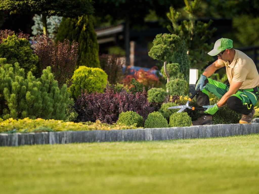 Gardener trimming shrubs in a landscaped yard.