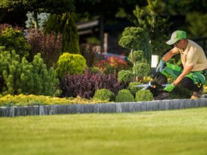 Gardener trimming shrubs in a landscaped yard.