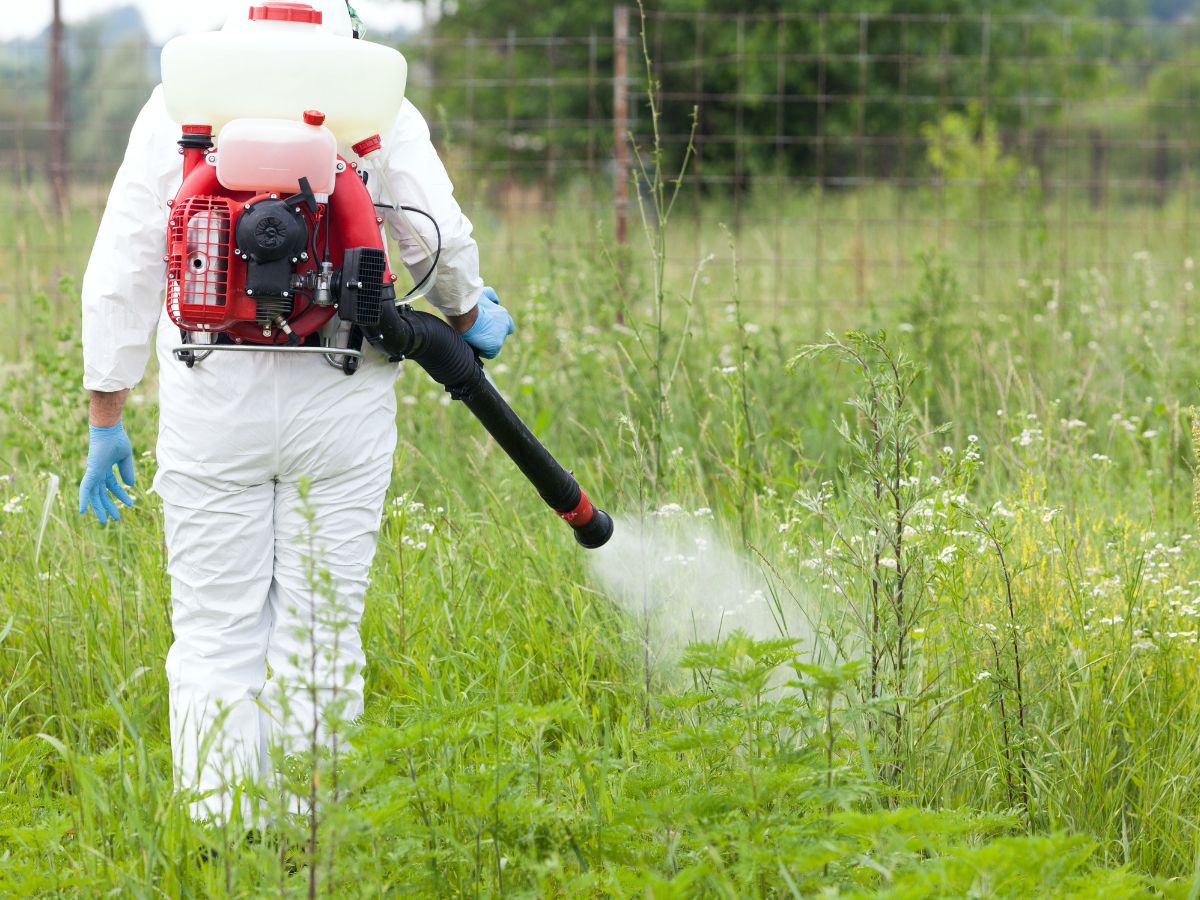Worker spraying weeds in a grassy field.