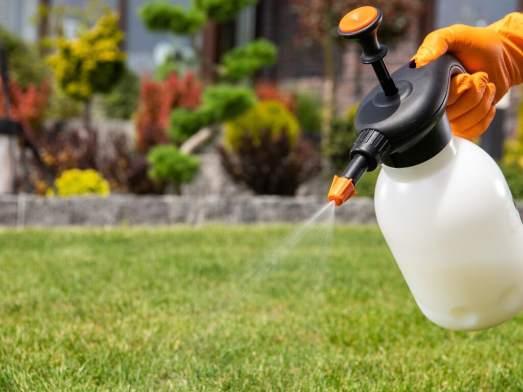Hand sprayer applying weed control across a lawn.
