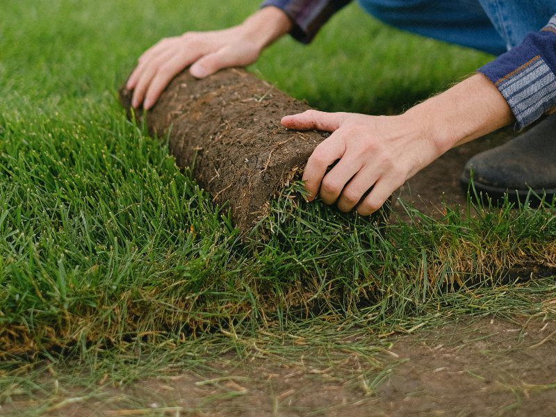 Turf Renovation-3