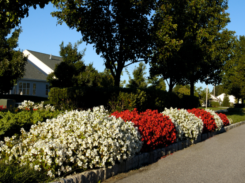 commercial landscape services